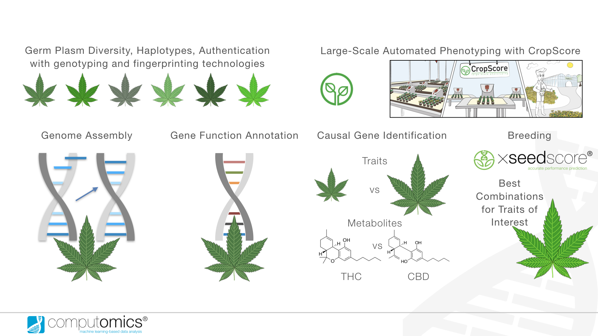 SeedQuest - Central Information Website For The Global Seed Industry